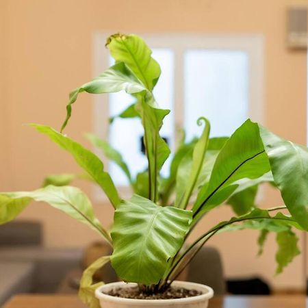 Modern African-Inspired Flat Apartment Athens Ngoại thất bức ảnh